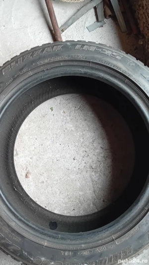 caucicuri de iarnă - imagine 2