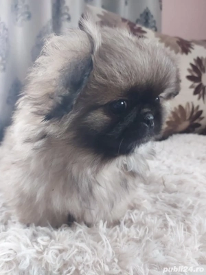 Băiat cu 3 vaccine si carnet de sănatate