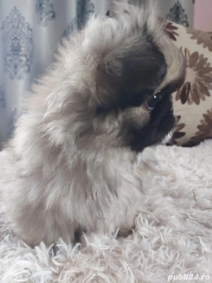 Băiat cu 3 vaccine si carnet de sănatate - imagine 3