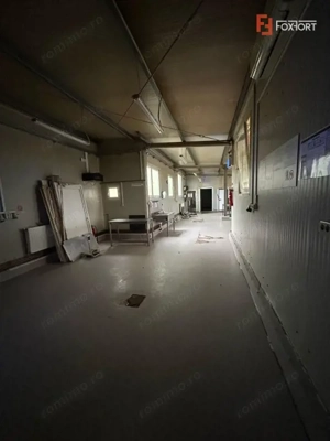 Hala industriala de inchiriat – productie/depozitare + birouri, zona Ronat - imagine 10