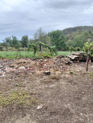 Casa spatioasa | 1500 mp teren - Ticvaniu Mare CS - imagine 11