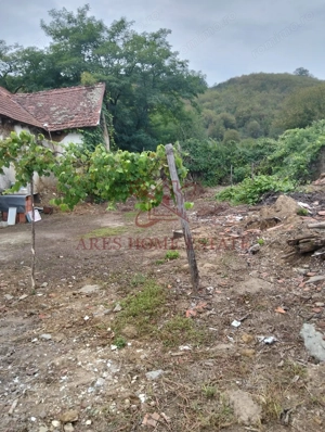 Casa spatioasa | 1500 mp teren - Ticvaniu Mare CS - imagine 9