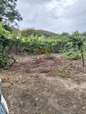 Casa spatioasa | 1500 mp teren - Ticvaniu Mare CS - imagine 10