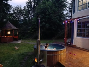 PF vand 3 case de vacanta Cabana Barlogul Colibita  - imagine 6