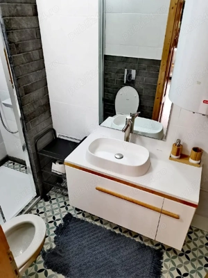 PF vand 3 case de vacanta Cabana Barlogul Colibita  - imagine 5