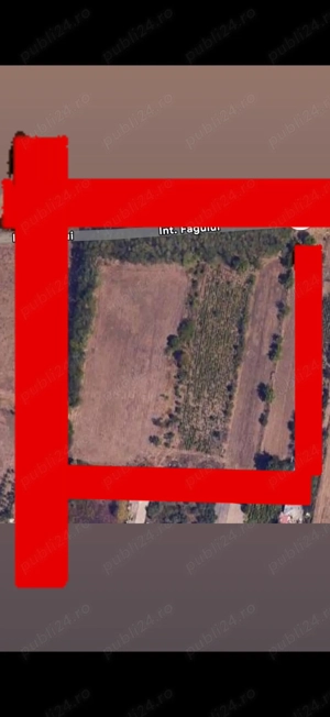 Teren Intravilan Fundulea Calarasi 10.000mp Ideal Logistic Rezidential