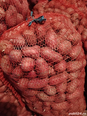 Cartofi animale samanta 