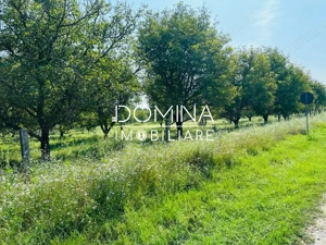 Vânzare teren situat în Târgu Jiu, Calea Tismanei - la DN 67 D - imagine 3