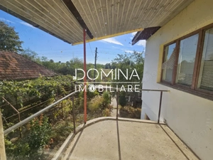 Vânzare casă P+1, în comuna Dănești, sat Șasa - la 10 km distanță de Tg. Jiu - imagine 5