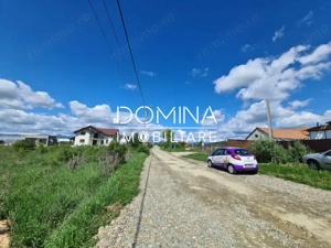 Vânzare loturi teren intravilan, situate în cartier Preajba, str. Frăsinetului - imagine 2