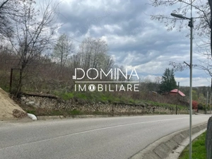 Vânzare teren intravilan - Runcu - oportunitate într-o zonă turistică deosebită - imagine 4