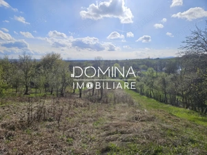 Vânzare teren 4606 mp - Sat Bâlta - Runcu - la aproximativ 20 km de Târgu Jiu - imagine 5
