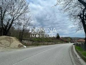 Vânzare teren intravilan - Runcu - oportunitate într-o zonă turistică deosebită - imagine 9