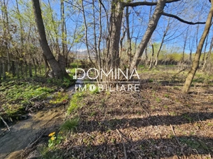 Vânzare teren 4606 mp - Sat Bâlta - Runcu - la aproximativ 20 km de Târgu Jiu - imagine 7