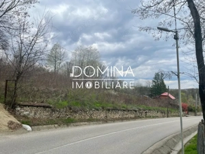 Vânzare teren intravilan - Runcu - oportunitate într-o zonă turistică deosebită - imagine 5