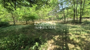 Vânzare casă bătrânească și teren în apropiere de complex turistic – Mușetești - imagine 7