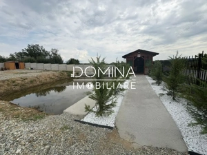 Vânzare spațiu comercial cu teren 1.077 mp, la doar 50 m de DN 67 – Câlnic - imagine 9