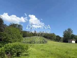 *Domeniu* cu potențial turistic - casă de vis, livadă și vie - Bumbești-Jiu - imagine 10