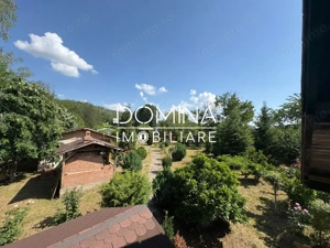 *Domeniu* cu potențial turistic - casă de vis, livadă și vie - Bumbești-Jiu - imagine 9