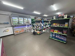 Vânzare spațiu comercial cu teren 1.077 mp, la doar 50 m de DN 67 – Câlnic - imagine 4