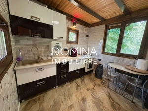 *Domeniu* cu potențial turistic - casă de vis, livadă și vie - Bumbești-Jiu - imagine 7