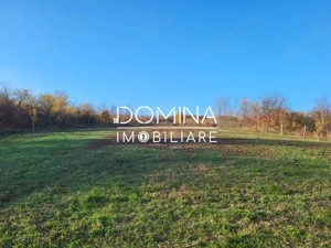 Teren 11.939 mp Bălănești – ideal rezidențial/comercial - imagine 4