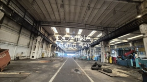Închiriere complex industrial versatil *hale - birouri - platforme betonate*  - imagine 6
