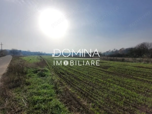 Vânzare teren intravilan - 2518 mp - strada Amurgului - Ursați - imagine 6