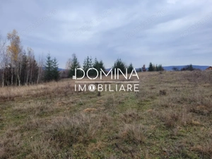 Vanzare teren 5000 mp, intravilan+extravilan, in comuna Crasna  - imagine 7