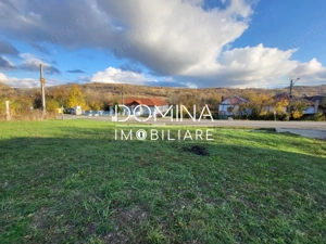 Teren 11.939 mp Bălănești – ideal rezidențial/comercial - imagine 3