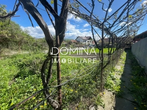 Vânzare proprietate în Novaci - lângă supermarket Penny - imagine 9