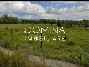 Vanzare teren 5000 mp, intravilan+extravilan, in comuna Crasna  - imagine 4