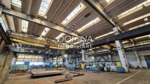 Închiriere complex industrial versatil *hale - birouri - platforme betonate*  - imagine 3