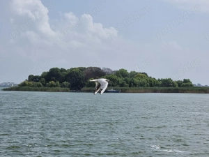 Vând teren intravilan în Ovidiu zona rezidențială vile. - imagine 6