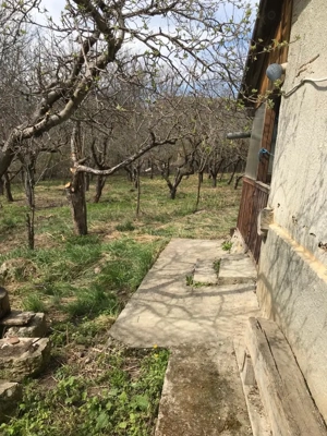 Casa de vânzare cu 3.000 mp teren OCNIȚA, jud. B-N - imagine 5