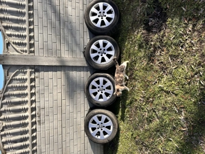 Jante aliaj originale Wolkswagen