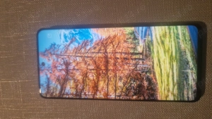 Huawei Nova 9 SE 8 GB 128 GB Ram - imagine 4