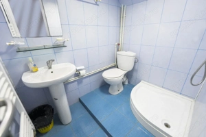 Demisol multifunctional central de inchiriat - zona Piata Mare - imagine 15