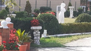 Puchenii Mari 15km de Ploiesti - imagine 9