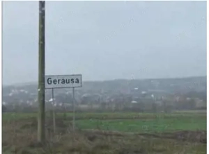 Teren in Gerausa Ardud Satu Mare - imagine 4