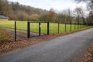 vindem garduri  - imagine 3