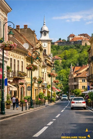 Preluare afacere pensiune administrare in regim turistic, Centrul Istoric