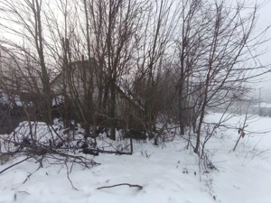 Teren intravilan , 5000mp, zona Negostina, Siret - imagine 5