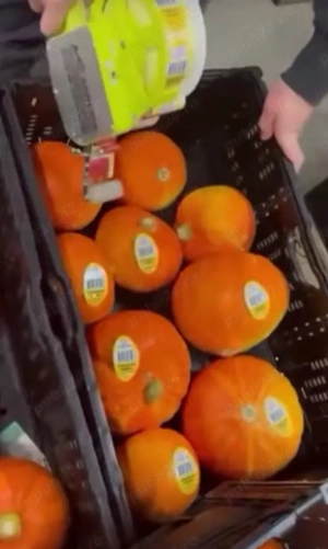 Angajăm imediat la banda 