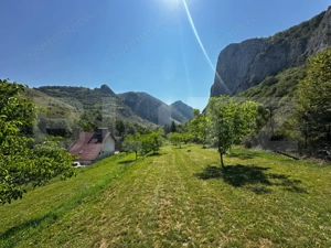 Teren deosebit de vânzare – 1800 mp, Cheile Vălișoarei – livadă de nuci