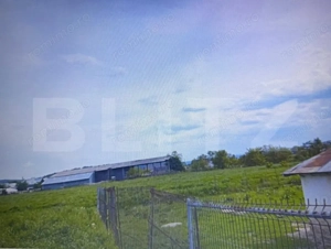 Casa si un teren de 3000mp, Mitocul Dragomirnei - imagine 4