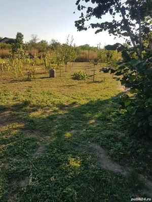 Casa traditionala 3 camere + curte generoasa   Merei   pret negociabil