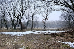 Teren 3.900 mp, Lipova – Șoimoș - imagine 3