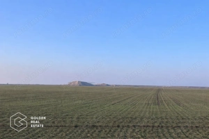 Teren agricol 32.000 mp, deschidere sosea Arad–Siria