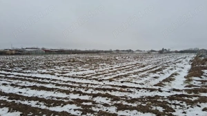 Teren intravilan in Magurele, Ilfov - imagine 2